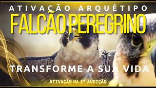Ativação Arquétipo Falcão