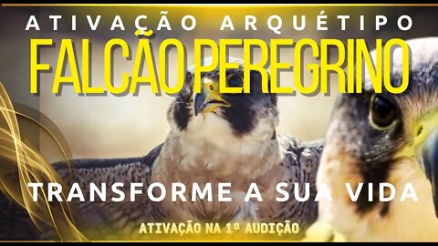 Ativação Arquétipo Falcão