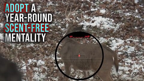 Why Deer Hunting Scent Control Matters in the Off-Season
