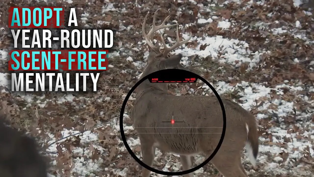 Why Deer Hunting Scent Control Matters in the Off-Season