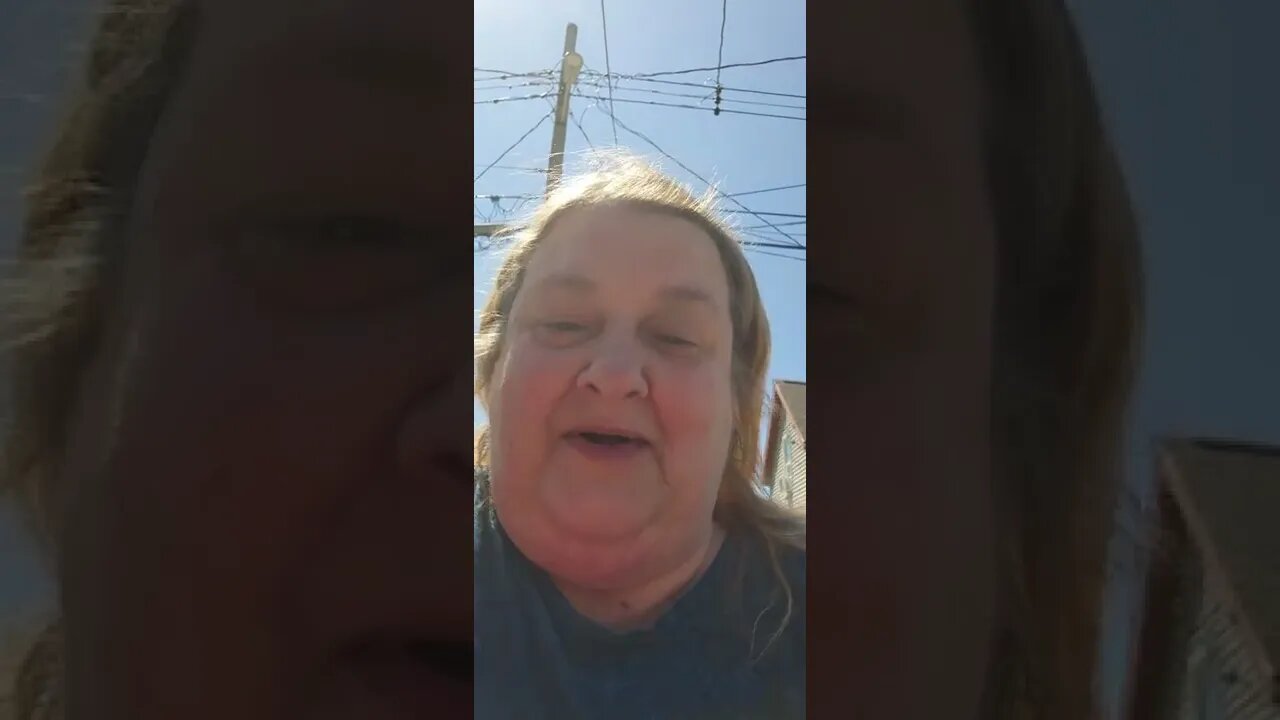 My garden and why we planted it