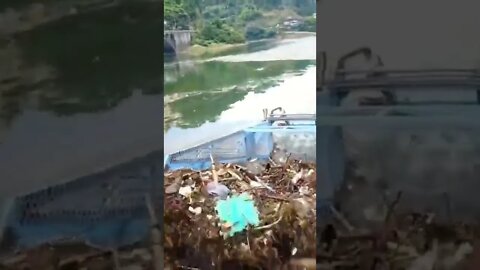 INCREVA POR FAVOR - ENTRETENIMENTO - SUBSCRIBE PLEASE - ENTERTAINMENT