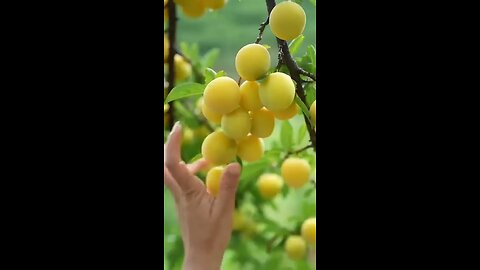 Beautiful nature in rural life