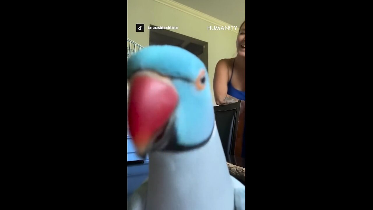 Kiwi and Tamara