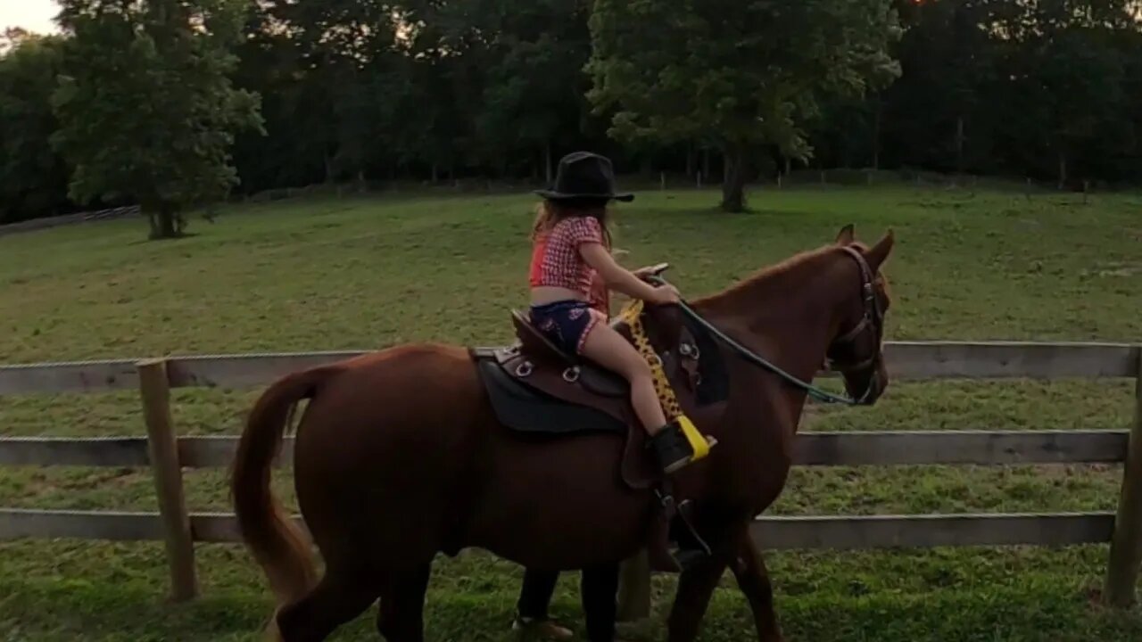 Kinsley takes a ride on Archie