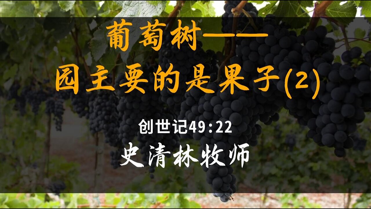 2024-3-17 《葡萄树——园主要的是果子(2)》- 史清林牧师