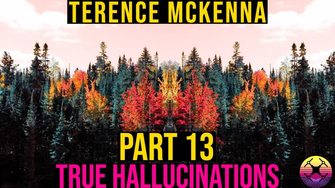 Terence McKenna - True Hallucinations Part 13