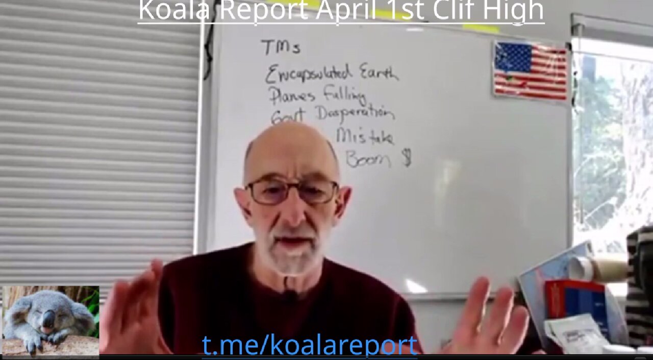 Koala Report 1st April Clif High DOJO-Secrets-Revealed