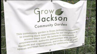 Tackling food inequality continues for Grow Jackson