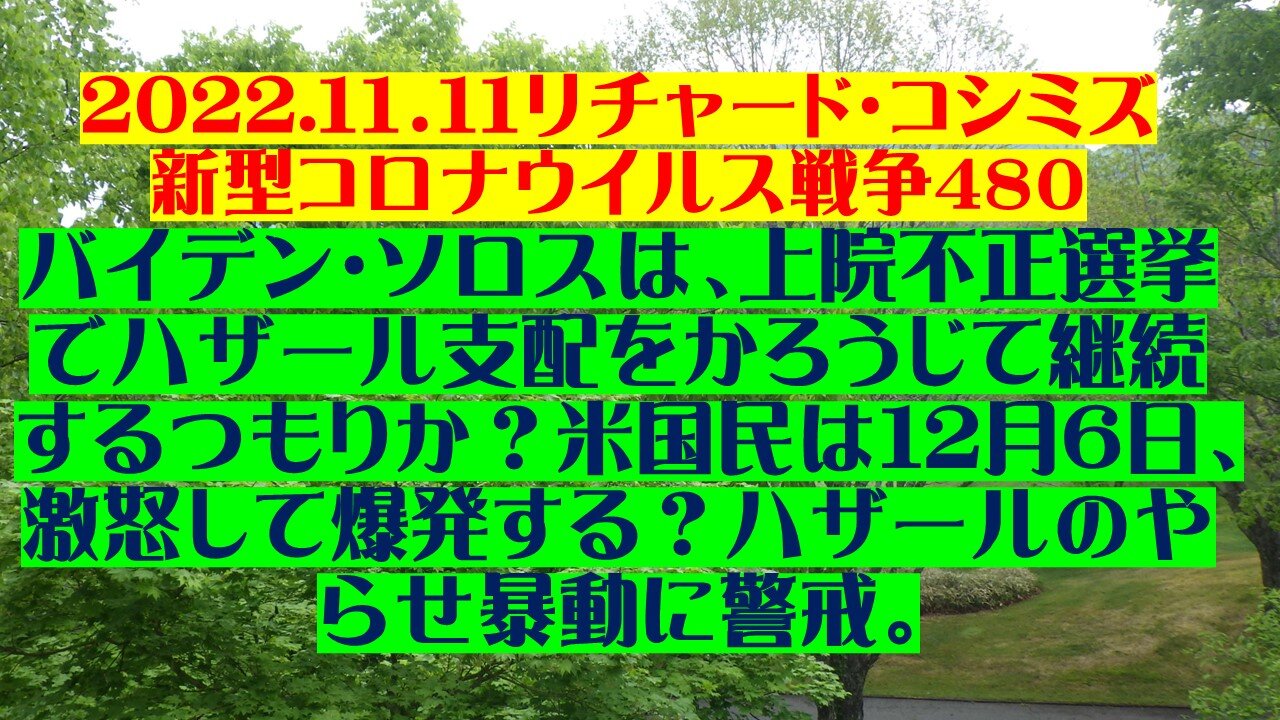 2022.１１．１１リチャード・コシミズ 新型コロナウイルス戦争4８０