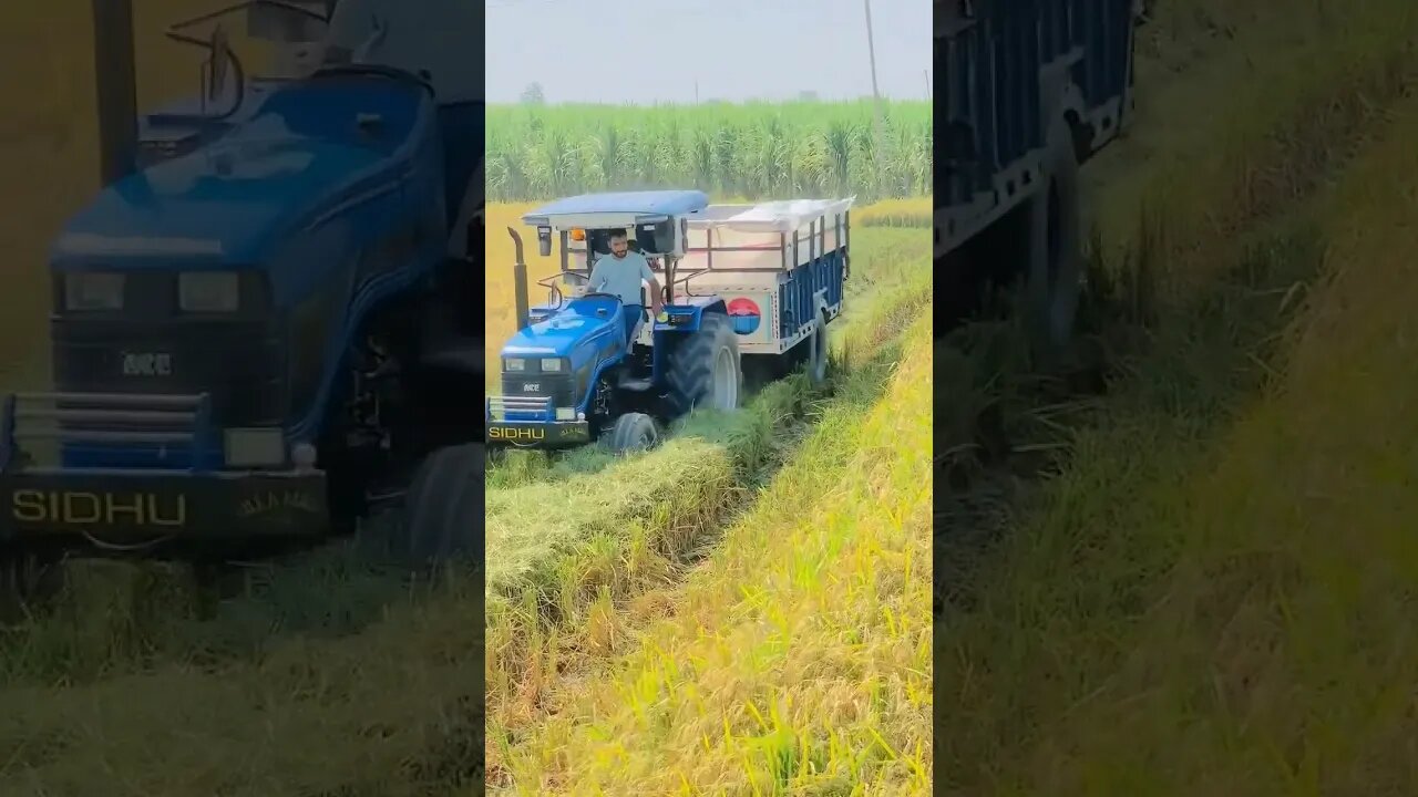🌾🌾 tractor #shortvideo #youtubeshorts