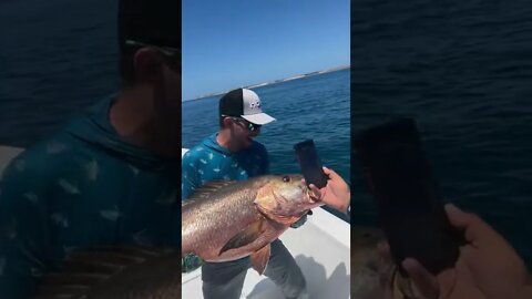 They ask you when are you going to stop fishing??
