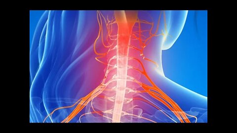 환자혁명, 조한경,조슈아조, 기능의학, 허리디스크, 퇴행성관절염, 인체를건축 구조물로만 바라본 결과, 통증, 먹거리, 영양, 생활 습관, 수면, 스트레스, 운동, 생활환경, FDA