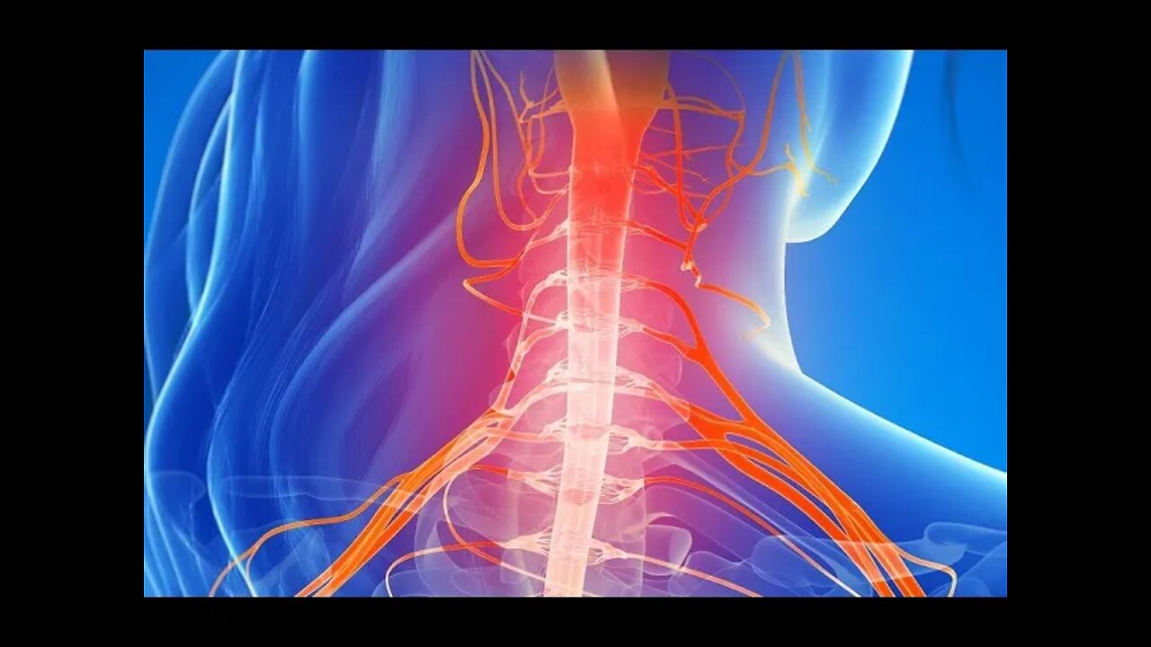 환자혁명, 조한경,조슈아조, 기능의학, 허리디스크, 퇴행성관절염, 인체를건축 구조물로만 바라본 결과, 통증, 먹거리, 영양, 생활 습관, 수면, 스트레스, 운동, 생활환경, FDA