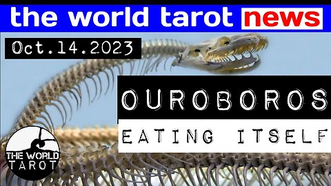 THE WORLD TAROT NEWS: The Members Of A Secret Society Are Falling 1 By 1 & Turning On Each Other...