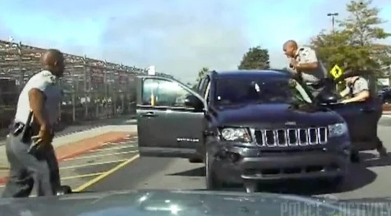 Raw Dashcam Footage Of Walmart Shoplifter Police Chase
