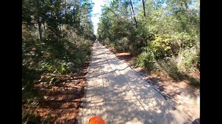 Ocala National Forest 12 4 2021