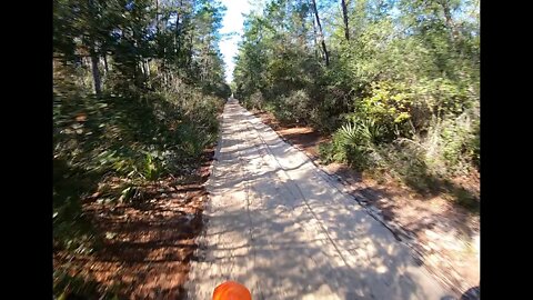 Ocala National Forest 12 4 2021