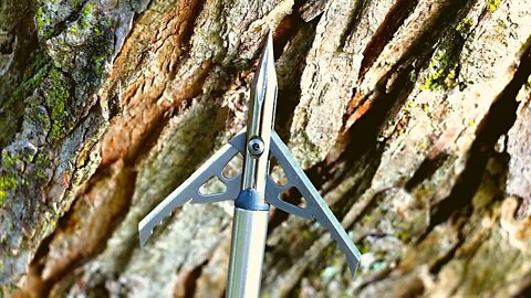 Rage Trypan Broadhead Review