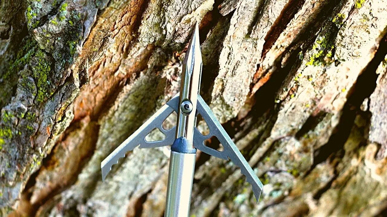 Rage Trypan Broadhead Review