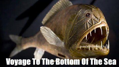 Voyage To The Bottom Of The Sea / 1 Minute Tech Tips