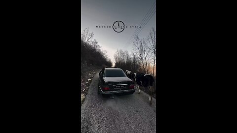 car beuty