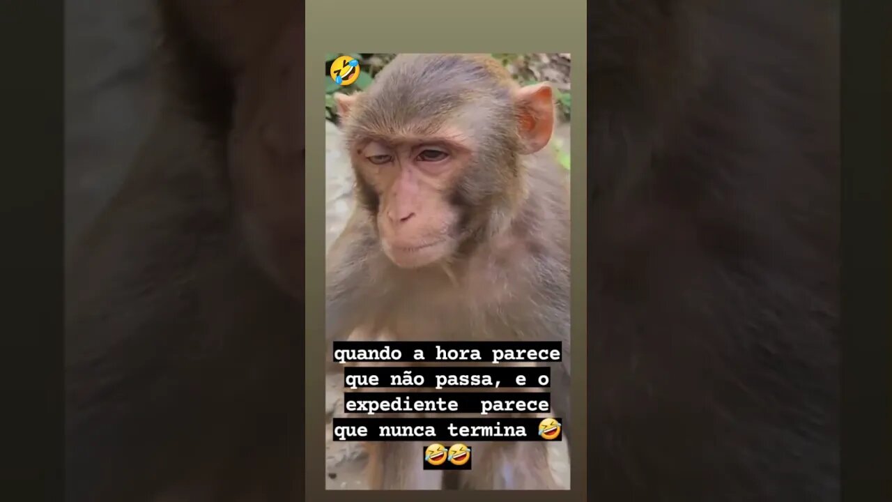Ooo Saudades de Casa 🤣#shorts #comedy #comedyvideo #comedia