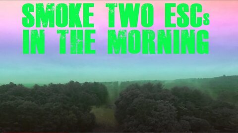 Smoke Two ESCs in the Morning