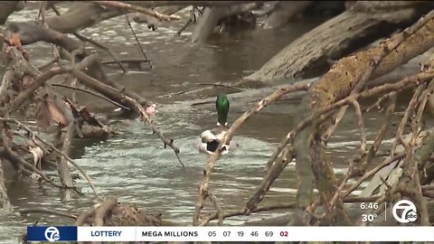 How $1B in federal money seeks to help Michigan's waterways