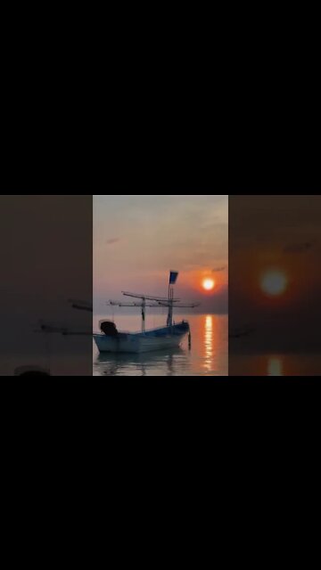 Best Relaxing Sound & Video | Relax | #shorts