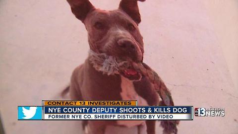 Former sheriff says lies and cover-up evident in deadly dog shooting