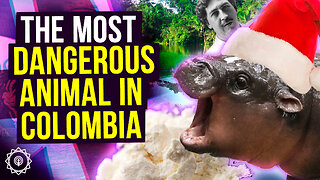 Colombia's Cocaine Hippo Problem