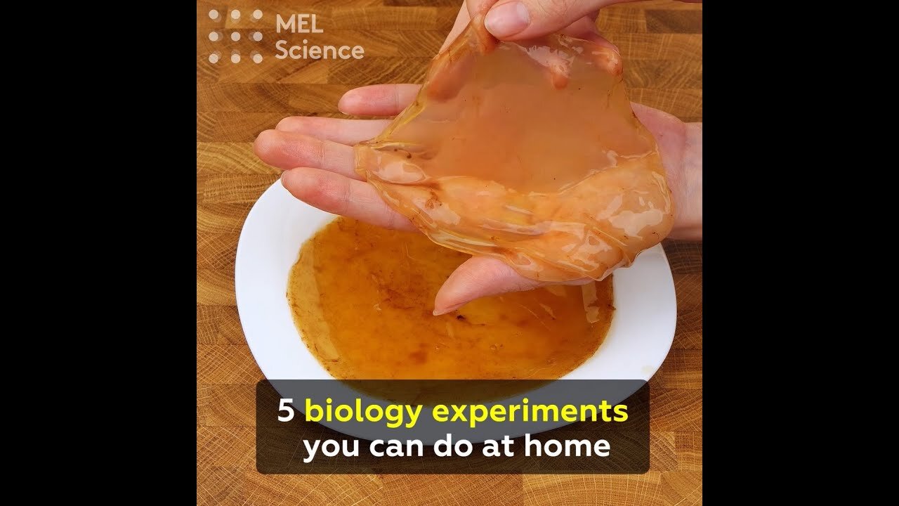 5 biological science experiment