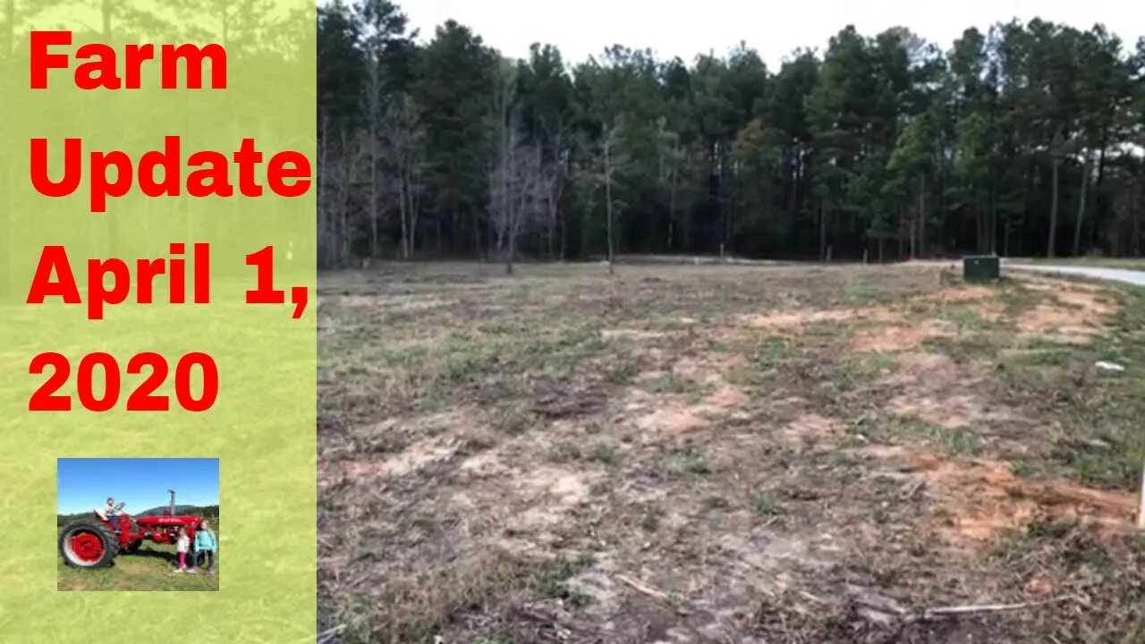 Farm Update April 1, 2020