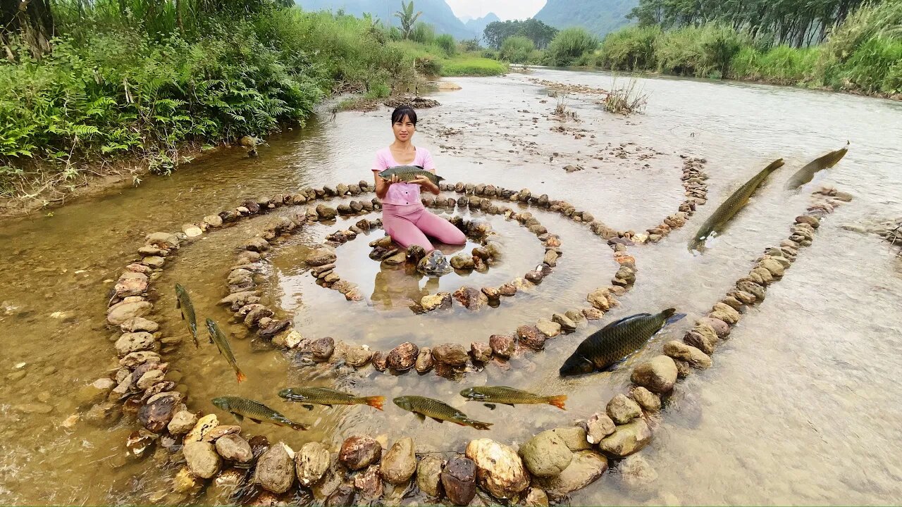 Fish trapping skills girl creates spiral trap to harvest lots of fish.