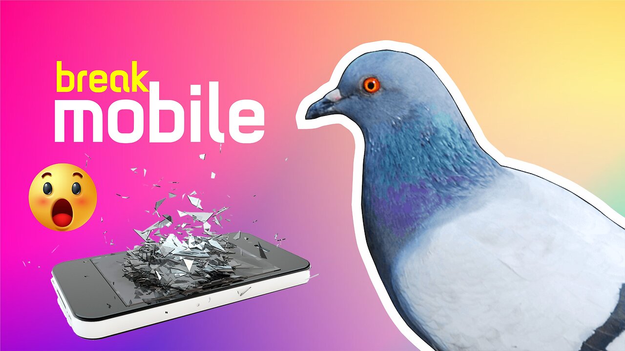 🕊Pigeons Break your mobile screen📱😨