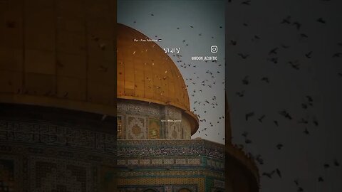 #palestine