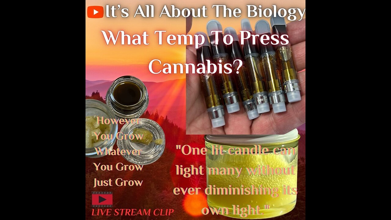 What Temp To Press Cannabis?