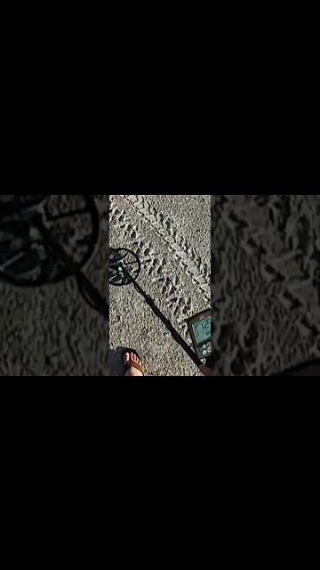 Metal Detecting Florida Beach