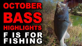 October Bass Highlights