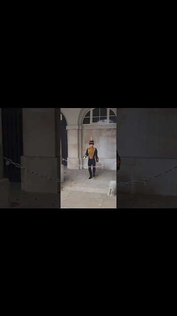 out of the shadow's kings troop #horseguardsparade