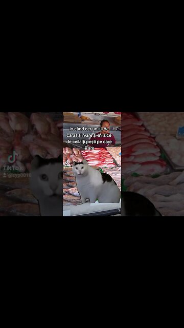 cum sa n-ai #caras ce-i ala #pastrav #jmek #huhcat #meme #peste #haleu