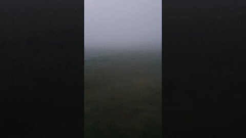 Dense Fog in Pennsylvania