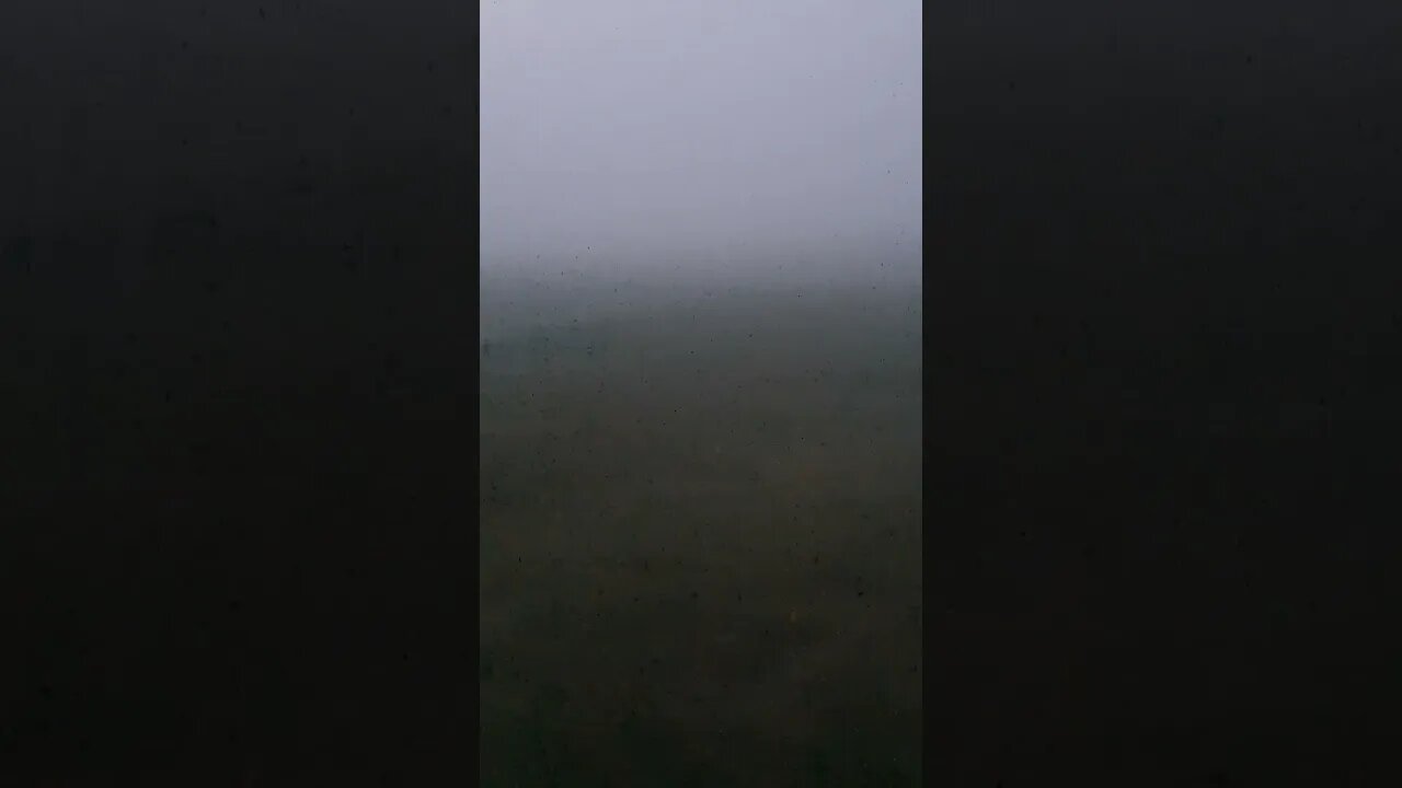 Dense Fog in Pennsylvania