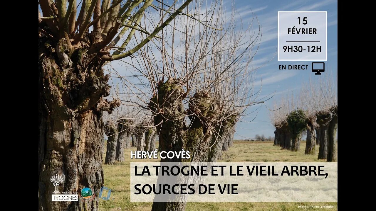 La trogne & le vieil arbre, sources de vie