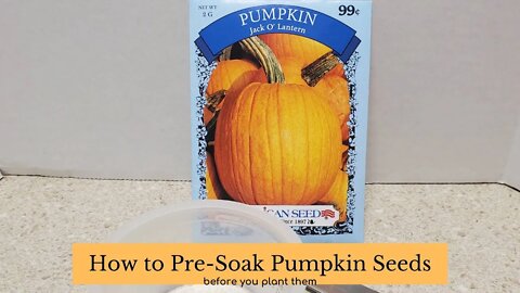 How to Pre-Soak Pumpkin Seeds