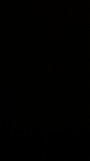 Chuck Schumer cheeseburger