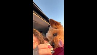 Random vid from months ago