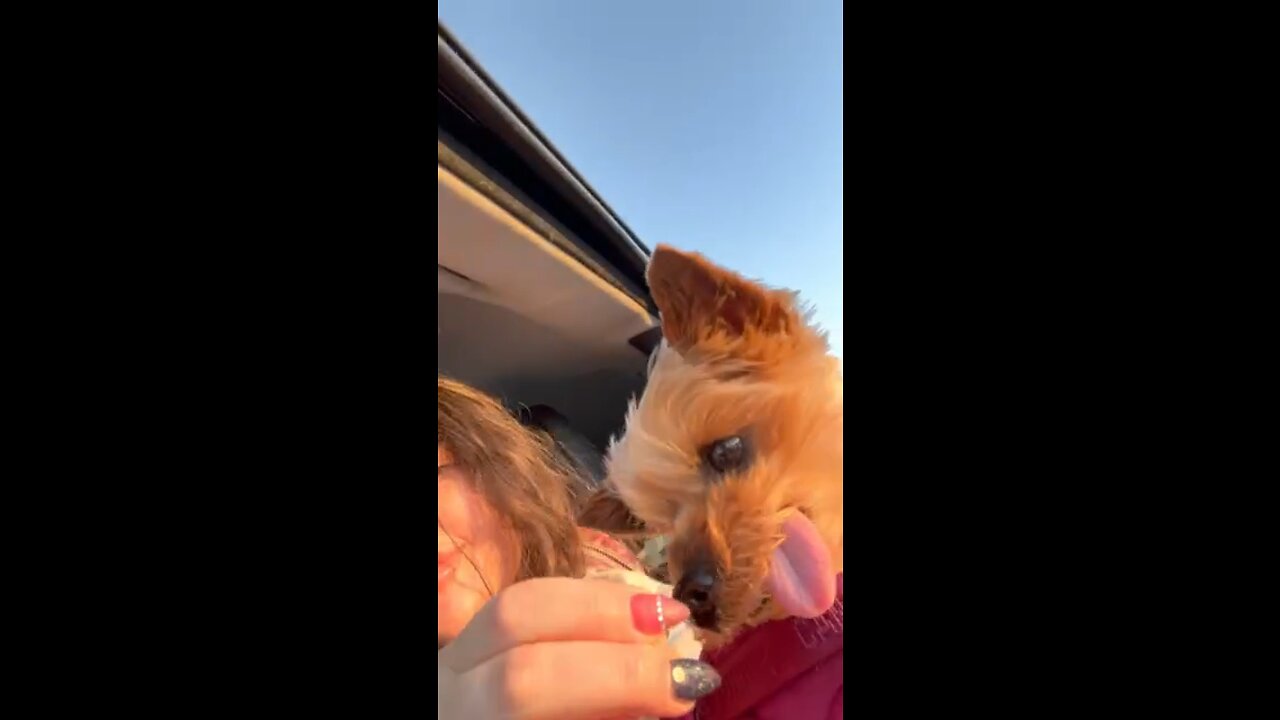 Random vid from months ago