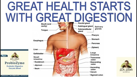 These Digestive Enzymes Will Giver You Healthy Digestion